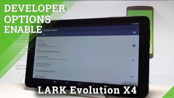 Lark ultimate x4 10 1 3g ips ultimatex41013gips unlock -  updated April 2024