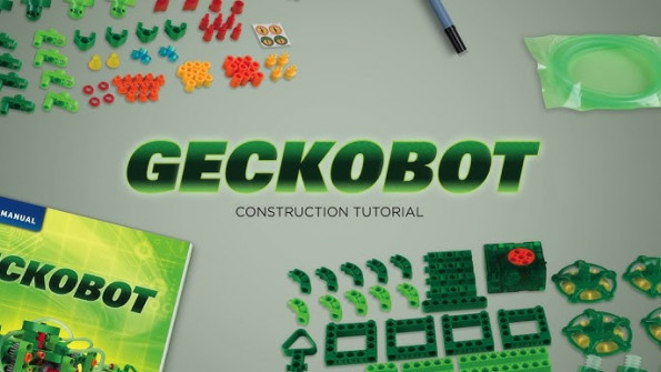 Rokit orb s gecko unlock -  updated April 2024